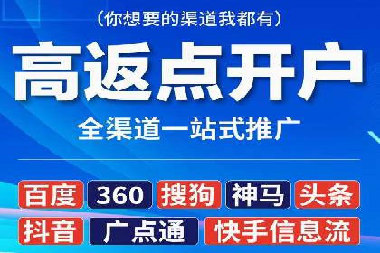 某某sem推广公司在某行业的应用与效果分析